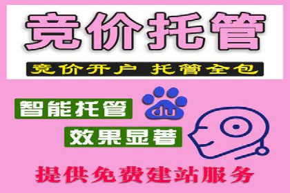 百度竞价排名机制：成功案例与策略探讨